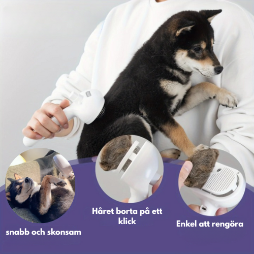 PawMist pro - Bekämpa Vårfällningen med Lätthet!