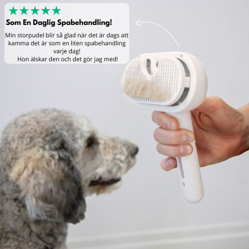 PawMist pro - Bekämpa Vårfällningen med Lätthet!